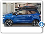 Ecosport Zenith 6.6 Met (4)