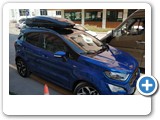 Ecosport Zenith 6.6 Met (5)