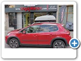 PEUGEOT 2008 HAPRO ROADY 350 MB TELESCOPIC (27)