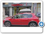 PEUGEOT 2008 HAPRO ROADY 350 MB TELESCOPIC (28)
