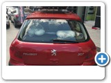PEUGEOT 307 HAPRO ROADY 350 MB SUPRA 45 (4)