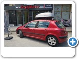PEUGEOT 307 HAPRO ROADY 350 MB SUPRA 45 (6)