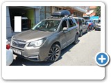 FORESTER ROADY 3300 ANT A46 5400 (2)