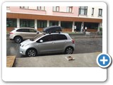 YARIS ROADY 3300 AMC 5004 S36 (3)
